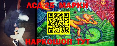 прущие грибы Камень-на-Оби