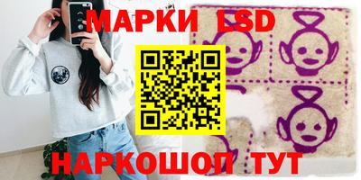 прущие грибы Камень-на-Оби