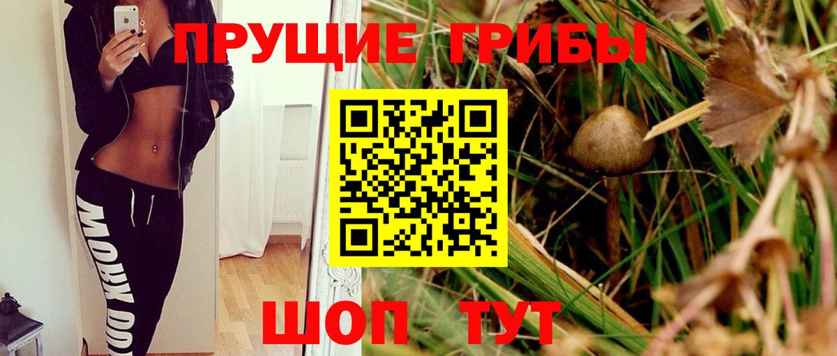 Псилоцибиновые грибы MAGIC MUSHROOMS Железноводск