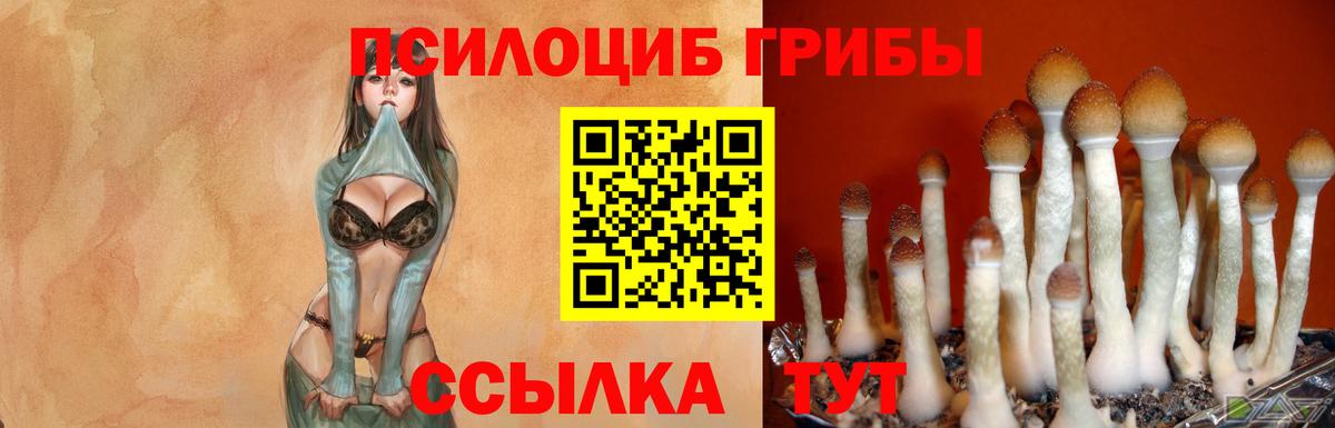 Железноводск  Псилоцибиновые грибы Magic Shrooms  Вход с VPN 